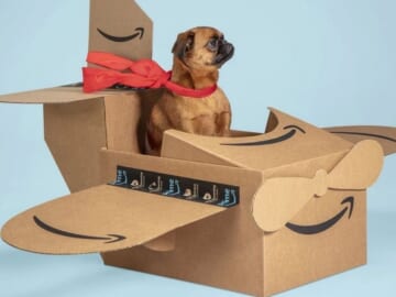 Amazon Pet Day on 5/2