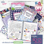 *HOT* Extra 51% Off Entire Denise Albright Collection = $8.81 Gratitude Journal, $6.36 Reminder Binder Planner, $14.70 Budget Binder, plus more!