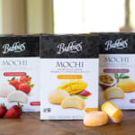 Bubbies Mochi Ice Cream Just $1.75 At Publix (Regular Price $5.99)