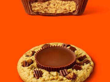 60-Count REESE’S Milk Chocolate Peanut Butter Snack Size Cups $10.98 (Reg. $14) – $0.18 each!