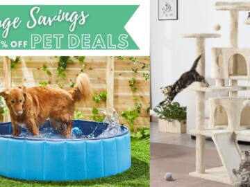 Chewy | 50% Off Pet Furniture & More