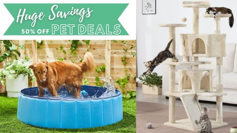 Chewy | 50% Off Pet Furniture & More