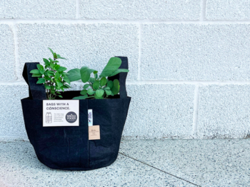 Whole Foods: Free Planting Kit on May 7, 2022