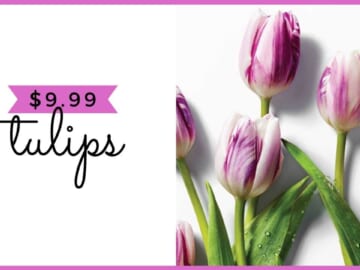 whole foods tulips