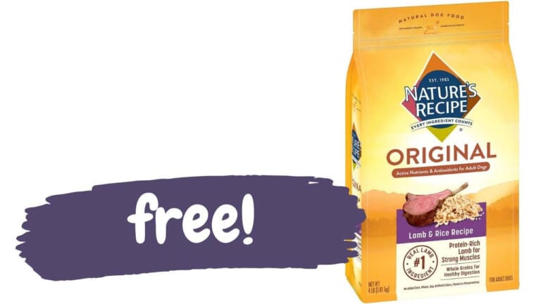 Get FREE Nature’s Recipe Dog Food at Walmart