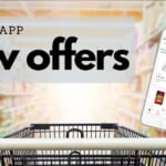 New Ibotta Offers: Chosen Foods Mayo, Olly & More!