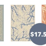 Macy’s Coupon Code | Area Rugs for $17.55