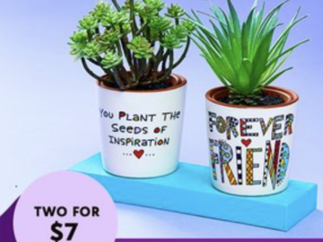 *HOT* Colorful Planters for $3.50 each + shipping! (Great Gift Ideas!!)