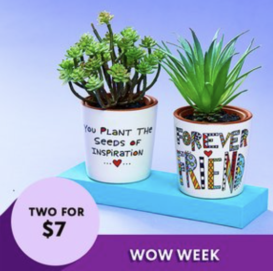 *HOT* Colorful Planters for $3.50 each + shipping! (Great Gift Ideas!!)