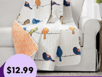 Cute Quilted Throws for just $12.99 + shipping! (Reg. $40-55!)