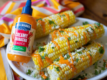 Hellmann’s Sauce Just $1 At Publix