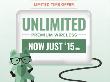 Mint Mobile: Unlimited Talk, Text, and Data Cell Phone Plans Just $15/Month!