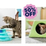 Chewy | 50% Off Toys For Your Fur Babies