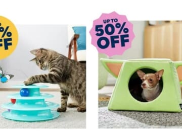 Chewy | 50% Off Toys For Your Fur Babies