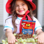 6 Pack Sun-Maid Chocolate Covered Raisins Snacks as low as $18.19 Shipped Free (Reg. $28) – FAB Ratings! | $3.03/Bag!