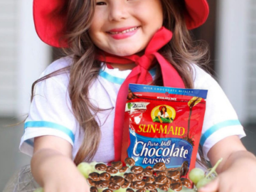 6 Pack Sun-Maid Chocolate Covered Raisins Snacks as low as $18.19 Shipped Free (Reg. $28) – FAB Ratings! | $3.03/Bag!