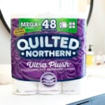 Save $7 On Quilted Northern Bathroom Tissue At Publix