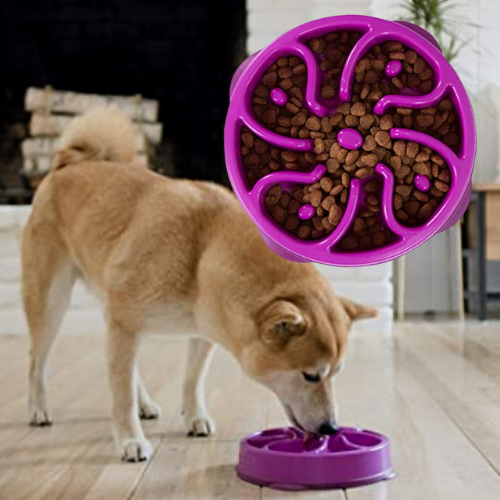 Outward Hound Fun Feeder Medium/Mini Slow Feeder Dog Bowl, Purple $6.54 (Reg. $16.49) – 84.6K+ FAB Ratings!