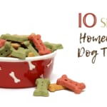 10 Simple Homemade Dog Treats