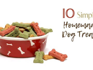 10 Simple Homemade Dog Treats