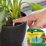 48 Count Miracle-Gro Indoor Plant Food Spikes $3.12 (Reg. $9.05) – $0.07 each! Continuous Feeding for all Flowering and Foliage Houseplants