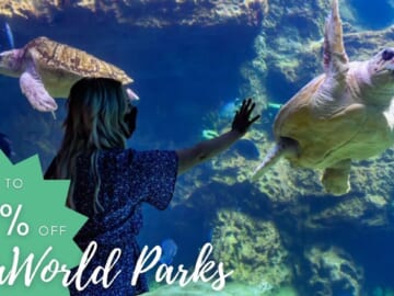 Up to 52% Off Admission to SeaWorld Parks