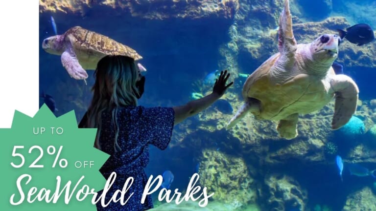 Up to 52% Off Admission to SeaWorld Parks