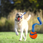 Chuckit! Ultra Tug Medium Dog Toy as low as $5.10 (Reg. $9.99) – 7K+ FAB Ratings!