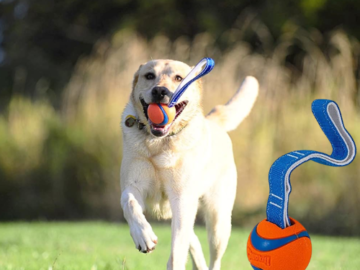 Chuckit! Ultra Tug Medium Dog Toy as low as $5.10 (Reg. $9.99) – 7K+ FAB Ratings!