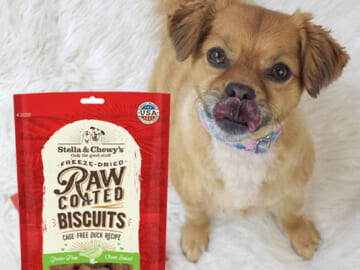 Stella & Chewy’s Freeze Dried Coated Duck Flavored Dog Biscuits as low as $5.99 Shipped Free (Reg. $9.99)