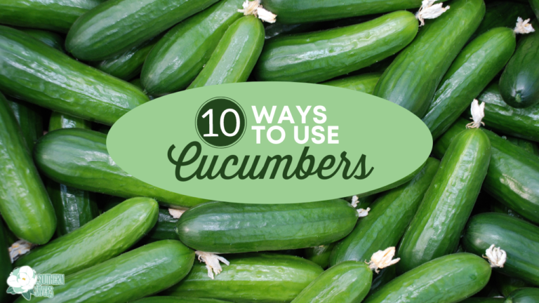 10 Delicious Ways to Use Cucumbers