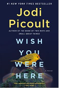 jodi picoult