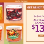 Bath & Body Works | Fall 3-Wick Candles $13.50