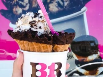 Baskin Robbins Offers Up $5 Off a $15 Purchase