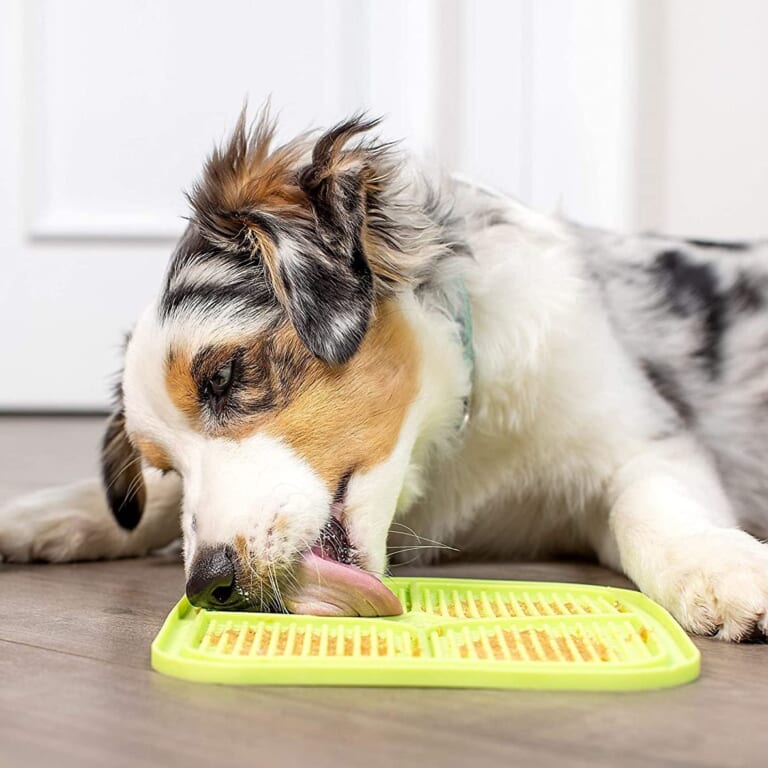 Save 30% on 2 Pack Pet Treat Lick Mats as low as $9.50 After Coupon (Reg. $14.34) – 11.5K+ FAB Ratings! – $4.75 each – + MORE Great for Calming Anxious & High Energy Dogs!