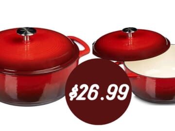 Amazon Basics Enameled Dutch Oven, 4.3-Quart for $26.99