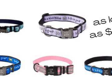 Life Is Good Dog Collars As Low As $5.99