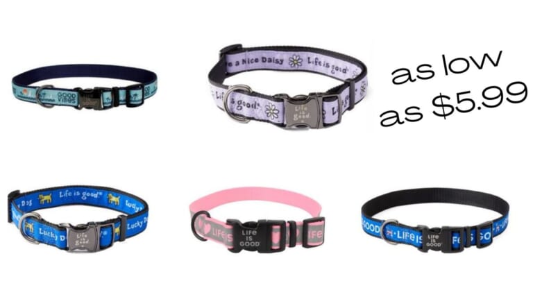 Life Is Good Dog Collars As Low As $5.99