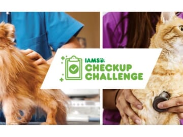 IAMS Checkup Challenge