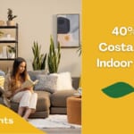 40% Off Costa Farms Indoor Plants with Ceramic Pots