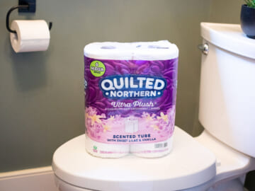 Quilted Northern Bathroom Tissue Just $5.99 At Publix (Regular Price $9.99)