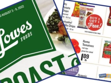 lowes foods weekly ad