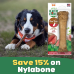 Save 15% on Nylabone from $5.74 After Coupon (Reg. $7.13+) – Dog Treats, Chew Toys, Bones, and MORE!