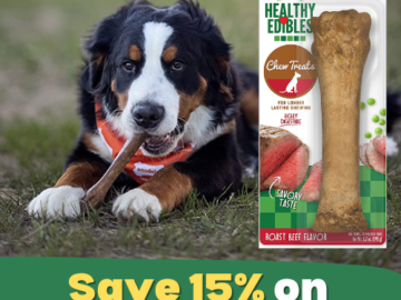 Save 15% on Nylabone from $5.74 After Coupon (Reg. $7.13+) – Dog Treats, Chew Toys, Bones, and MORE!