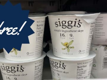 Siggi’s Icelandic Yogurt | FREE at Publix