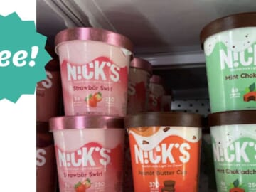 FREE Nick’s Swedish-Style Ice Cream Pints