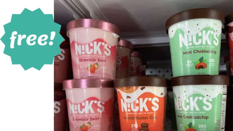 FREE Nick’s Swedish-Style Ice Cream Pints