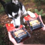 150+ Stella & Chewy’s Wild Red Jerky Nuggets, Dog & Puppy Treats, 6 Ounce as low as $7.19 After Coupon (Reg. $12) + Free Shipping – Grain Free, Protein Rich Beef & Lamb Recipe!