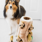 Outward Hound Hide-A-Squirrel Squeaky Puzzle Plush Toys for Dogs $5.10 (Reg. $29.99) – 53K+ FAB Ratings!