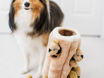 Outward Hound Hide-A-Squirrel Squeaky Puzzle Plush Toys for Dogs $5.10 (Reg. $29.99) – 53K+ FAB Ratings!